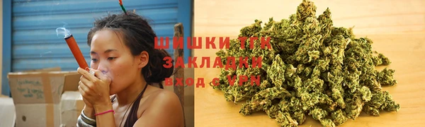 прущие грибы Гусиноозёрск