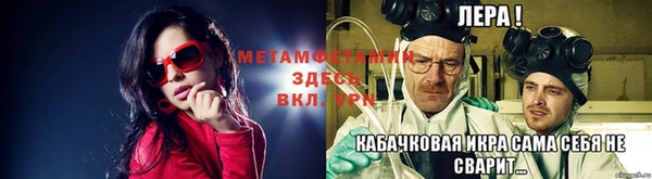 прущие грибы Гусиноозёрск