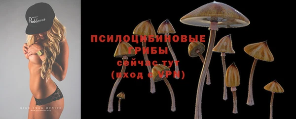 MESCALINE Горно-Алтайск