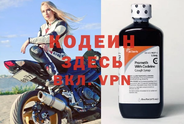 прущие грибы Гусиноозёрск
