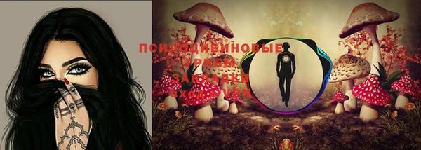 МДПВ Нея