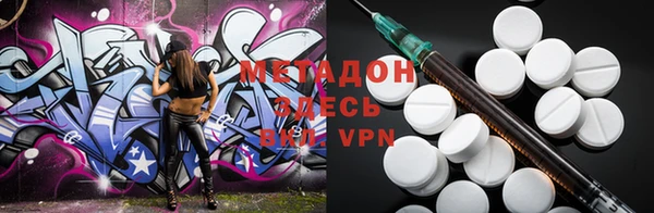 прущие грибы Гусиноозёрск