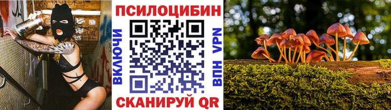Псилоцибиновые грибы Magic Shrooms  Купить  Кизляр 